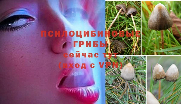 COCAINE Абаза